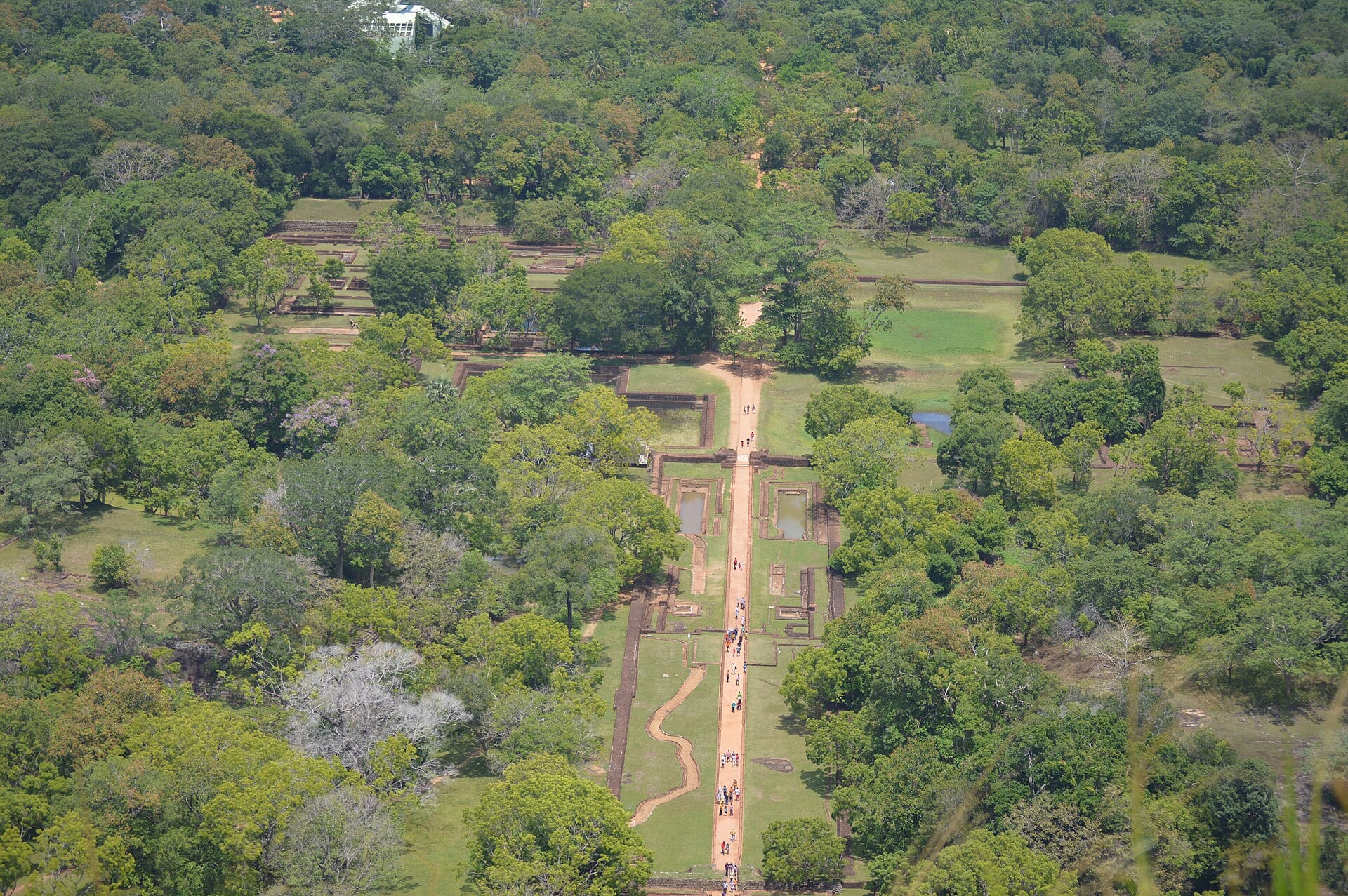 The rock fortress of Sigiriya rising above the forest, Sri Lanka.