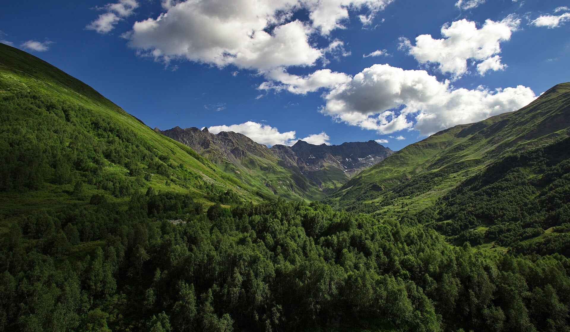 A forested valley below the peaks of Upper Svaneti in the Caucasus, Georgia.