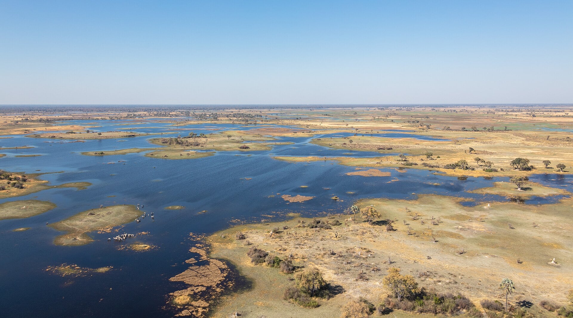 Aerial view of the channels and islands of the Okavango Delta, Botswana.