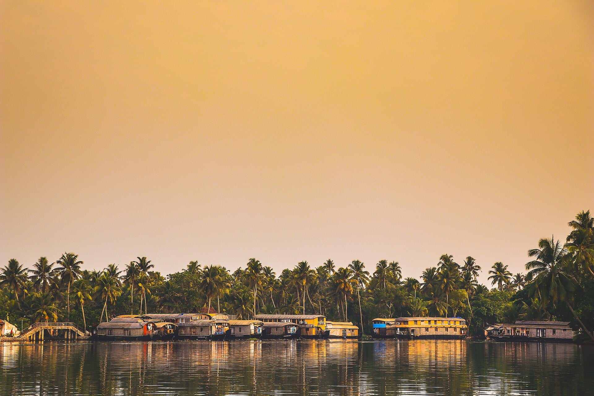 Houseboats moored on the Kerala backwaters at Alleppey, palms along the far bank.