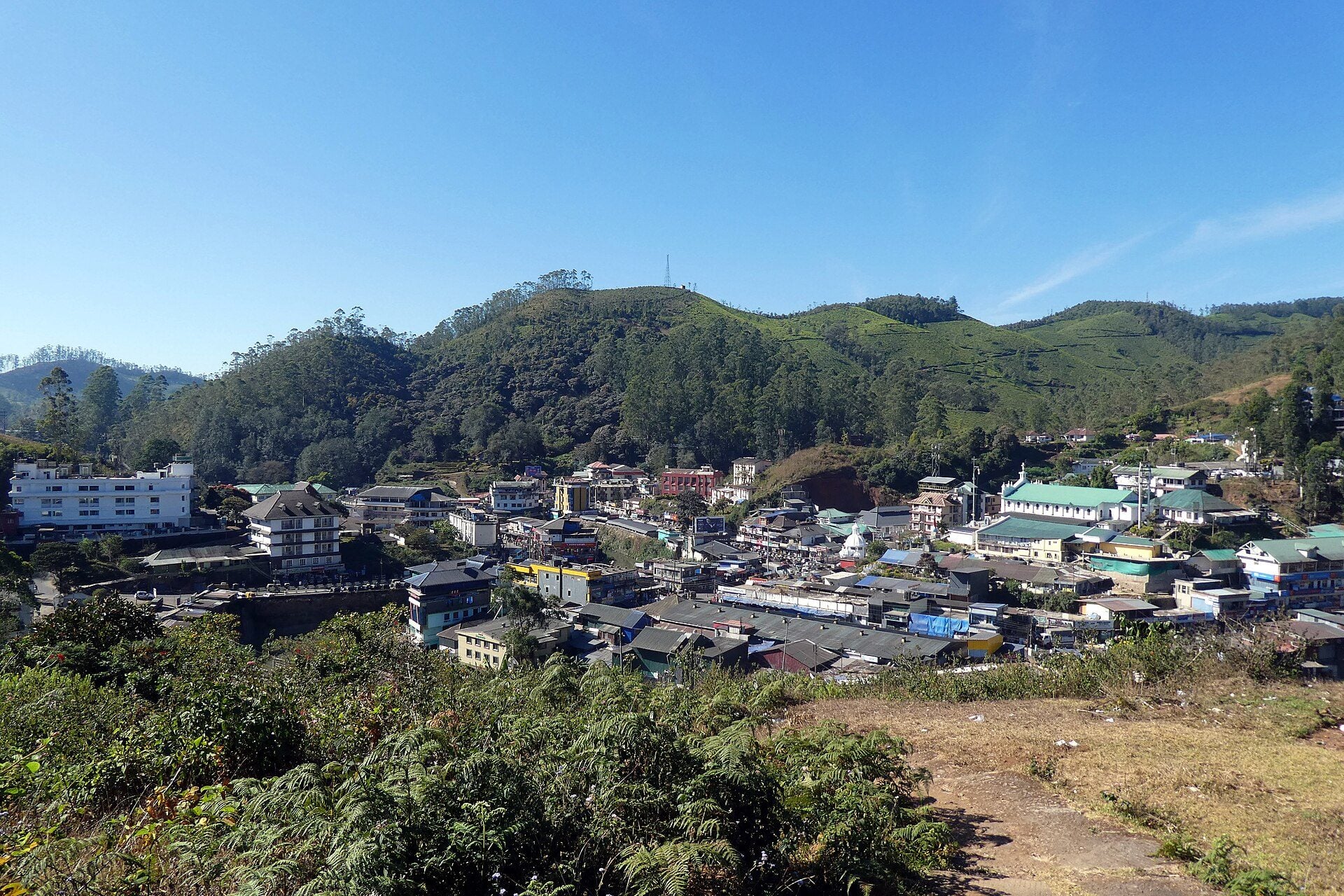 Munnar — hero