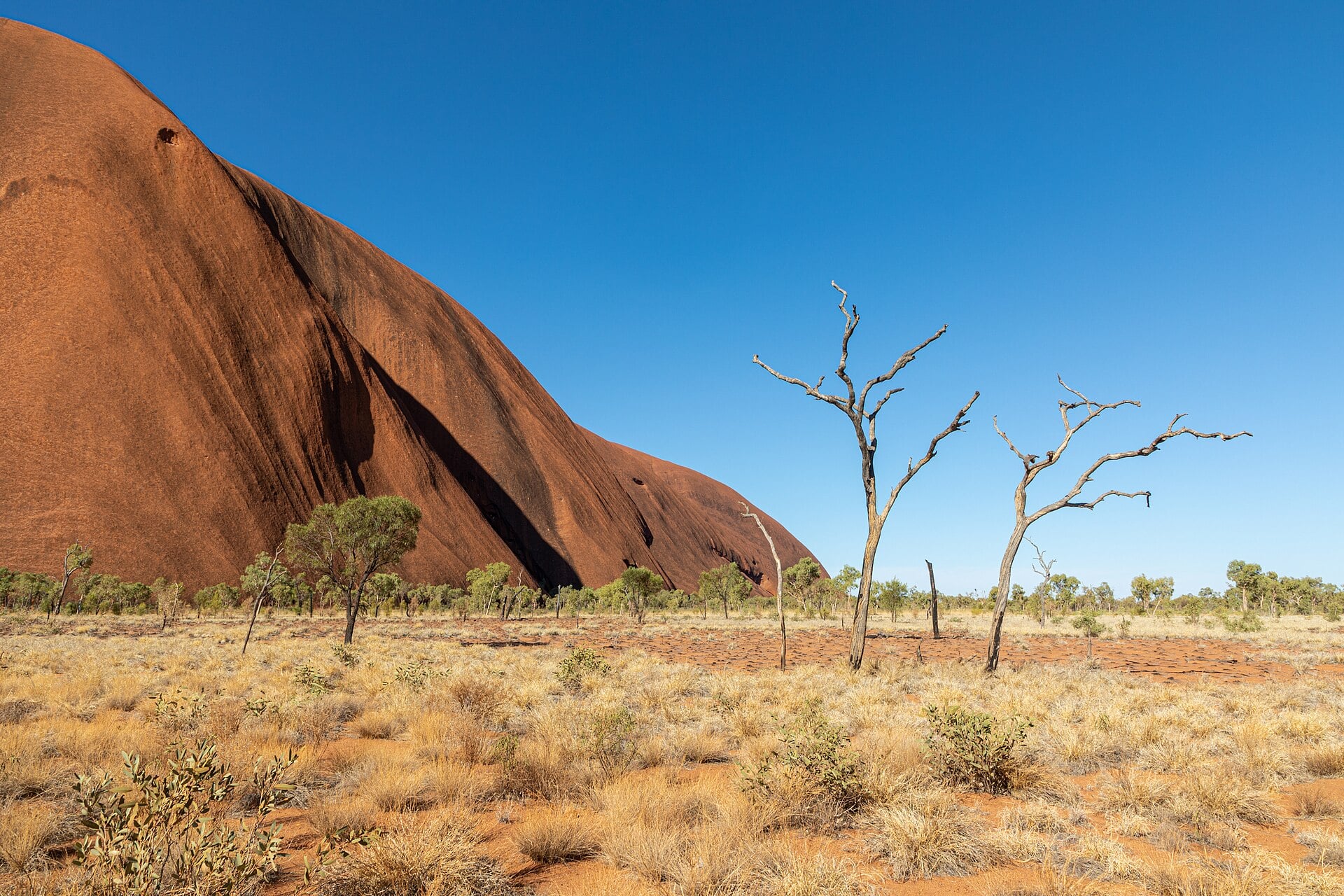 Uluru glowing red at sunset in Australia's red Centre.