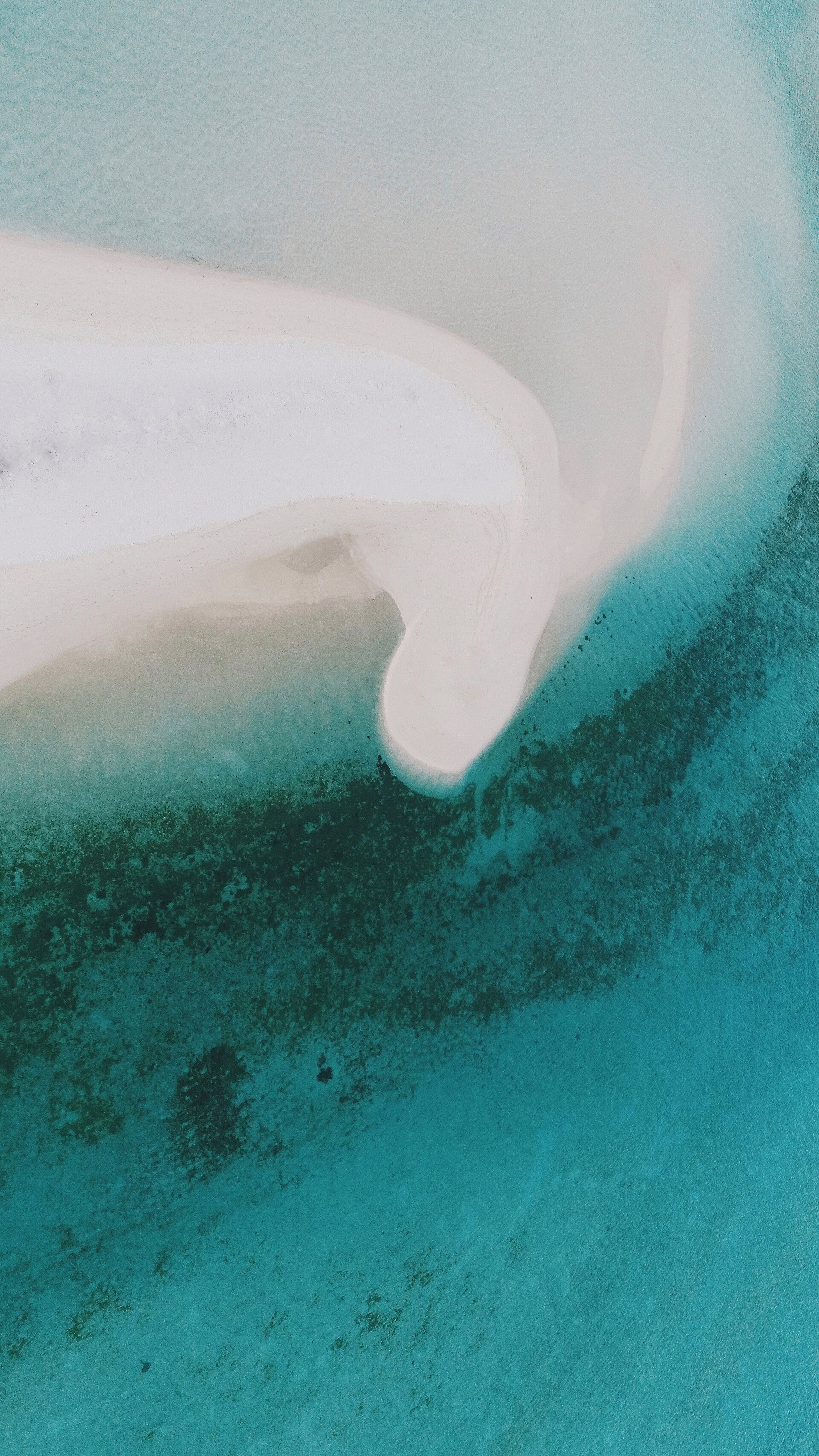 A turquoise Maldivian atoll lagoon from the air.