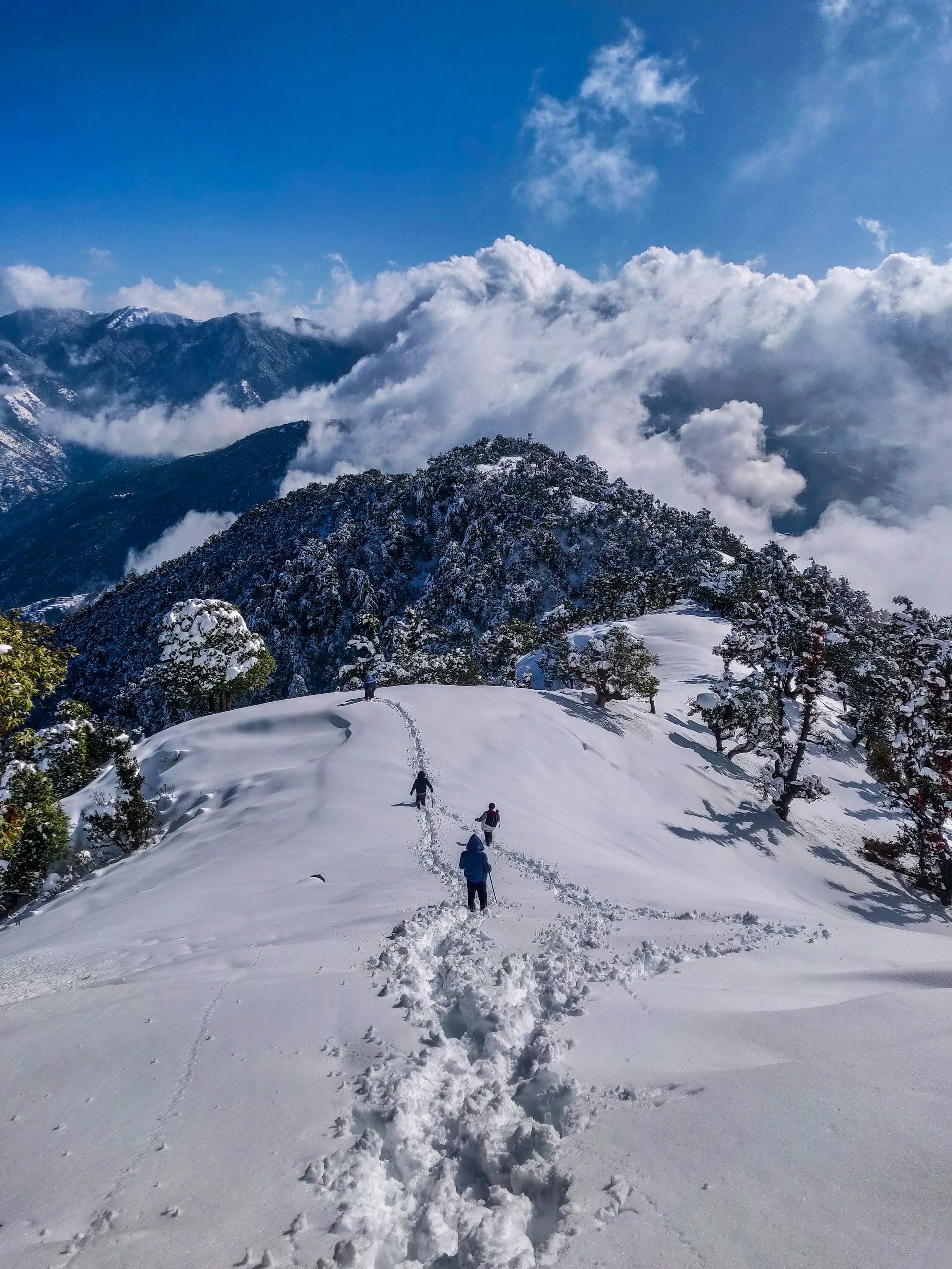 Ladakh monastery against snow-cloaked peaks